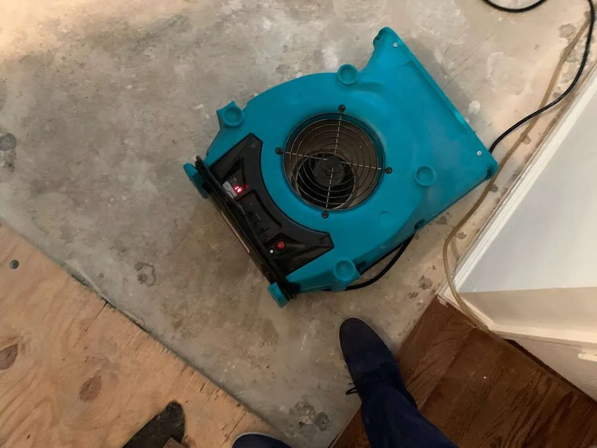 Air mover drying subfloor during Leak Detection & Repair in Schriever